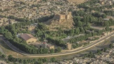 ساکنین تهران
