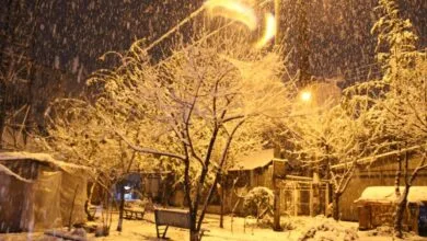ساکنین تهران
