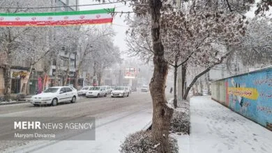 ساکنین تهران