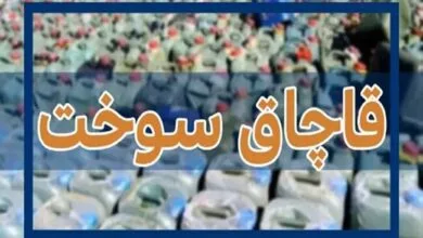 ساکنین تهران