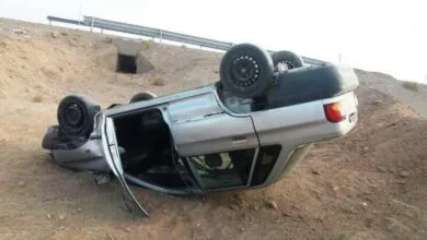 ساکنین تهران