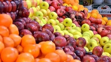 ساکنین تهران