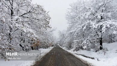 ساکنین تهران