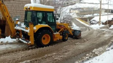 ساکنین تهران