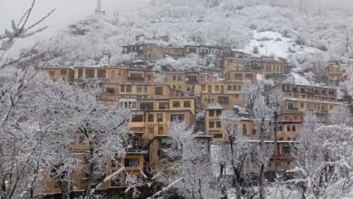 ساکنین تهران