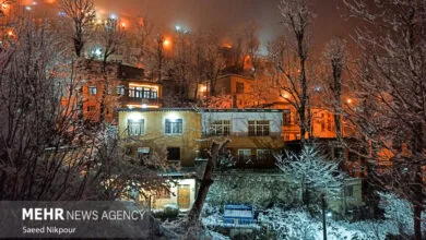 ساکنین تهران