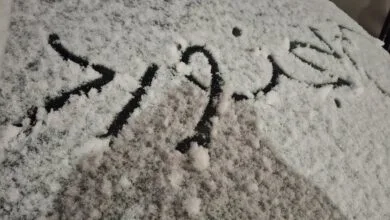 ساکنین تهران