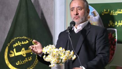 مساحت گلخانه‌های خراسان جنوبی ۲۰۰ هکتار افزایش یابد