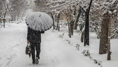 ساکنین تهران