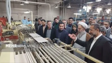 ساکنین تهران