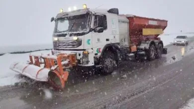 ساکنین تهران