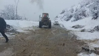 ساکنین تهران