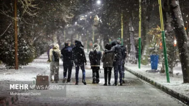 ساکنین تهران