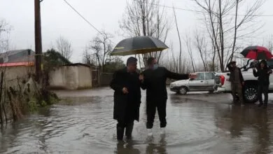 ساکنین تهران