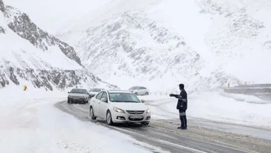 ساکنین تهران