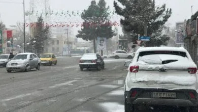 ساکنین تهران