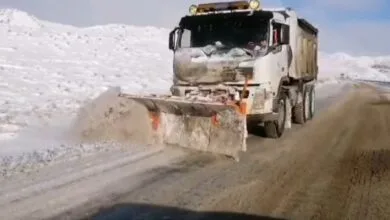 ساکنین تهران
