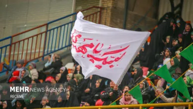 ساکنین تهران