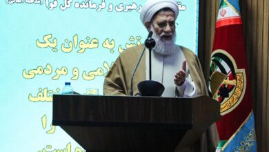 حجت الاسلام محمدحسنی: بر اساس آیات قرآن، زن اساس زندگی است