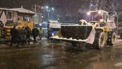 ساکنین تهران