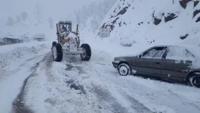 ساکنین تهران