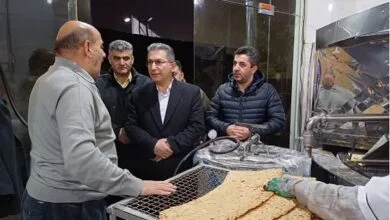 ساکنین تهران