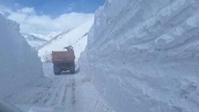 ساکنین تهران