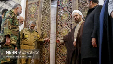 ساکنین تهران