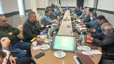 ساکنین تهران