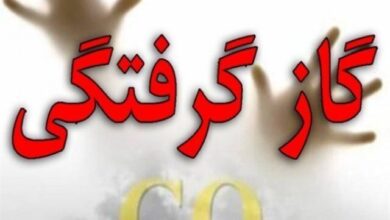 مسمومیت ۴ نفر با گاز مونو اکسید کربن در فارس مسمومیت ۴ نفر با گاز مونو اکسید کربن در فارس