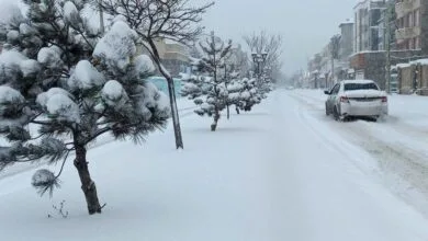 ساکنین تهران