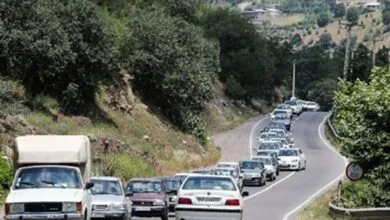 ساکنین تهران