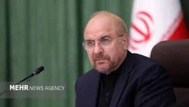 ساکنین تهران
