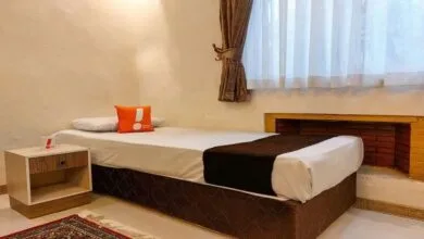 ساکنین تهران