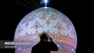ساکنین تهران