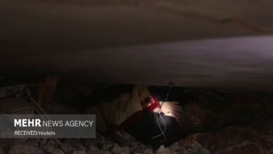 شهادت۴۶۰ فلسطینی در نتیجه تجاوز مجدد اسرائیل به غزه