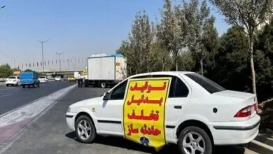 ساکنین تهران