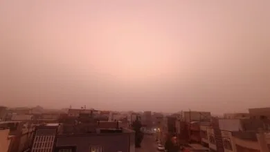 ساکنین تهران