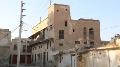 5259041.jpg