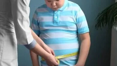 5332719.jpg