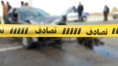 ساکنین تهران