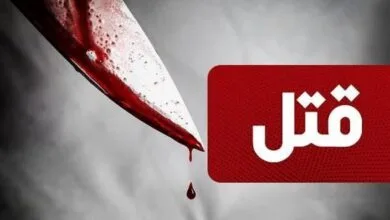 ساکنین تهران