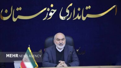 حمایت از اشتغال بانوان و توسعه مشاغل خانگی در خوزستان