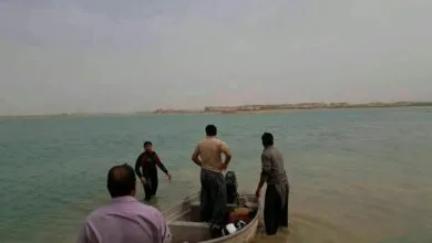 ساکنین تهران
