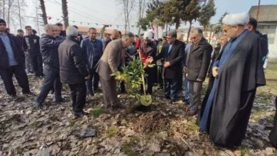 ساکنین تهران