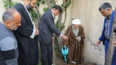 ساکنین تهران