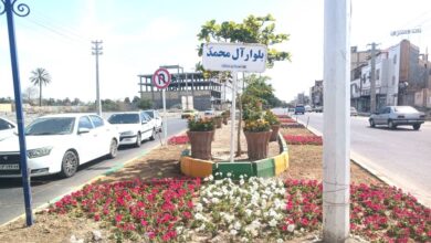  آغاز کاشت ۶۰ هزار گل فصلی در میادین و بلوارهای سطح شهر میناب