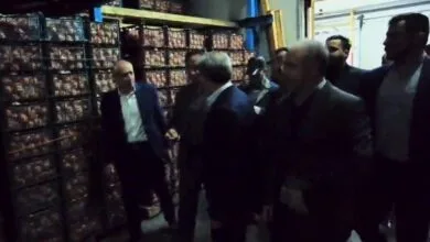ساکنین تهران