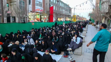 ساکنین تهران