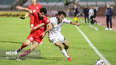 ساکنین تهران